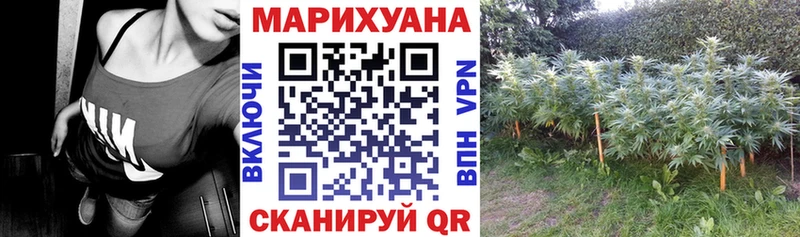 Все наркотики Кушва ГАШИШ СК Меф Псилоцибиновые грибы Конопля