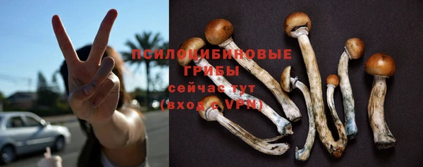 твердый Беломорск
