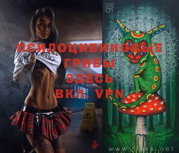 молекула духа Бугульма