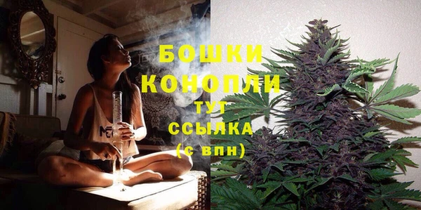 2c-b Богородск
