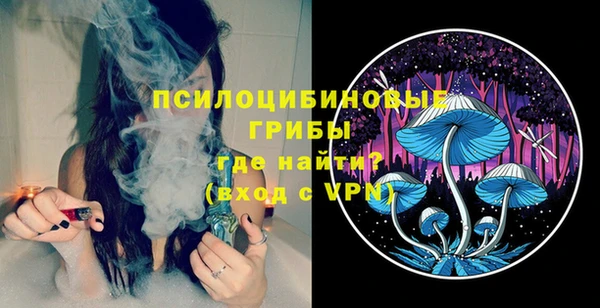 а пвп мука Богданович