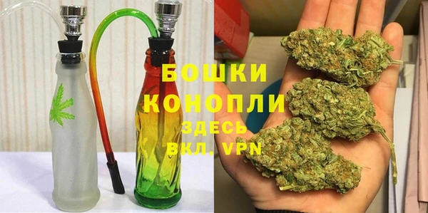молекула духа Бугульма